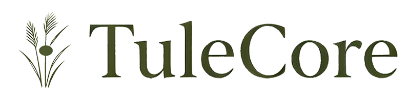 TuleCore Logo